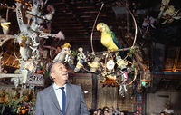 Tiki Room