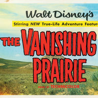 Lobby Card The Vanishing Prairie, 1954 Disney Studio Artist Printed ink on paper Walt Disney Family Foundation, Gift of Diane Disney Miller, ©Disney